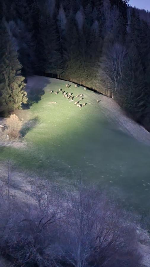 Ferienwohnungen Rabensteiner Bad Kleinkirchheim Eksteriør bilde