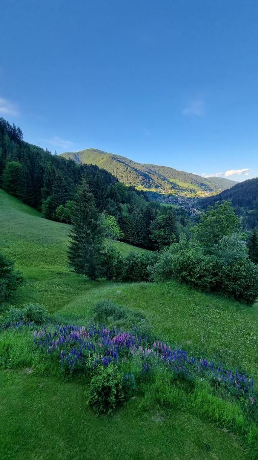 Ferienwohnungen Rabensteiner Bad Kleinkirchheim Eksteriør bilde